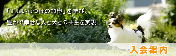 「正しいしつけの知識」を学び、豊かで幸せな人と犬との共生を実現